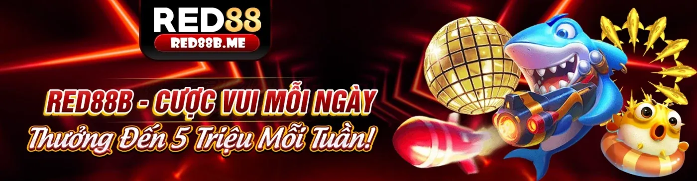 N188 Thể Thao: Sân Vận Động Rực Lửa